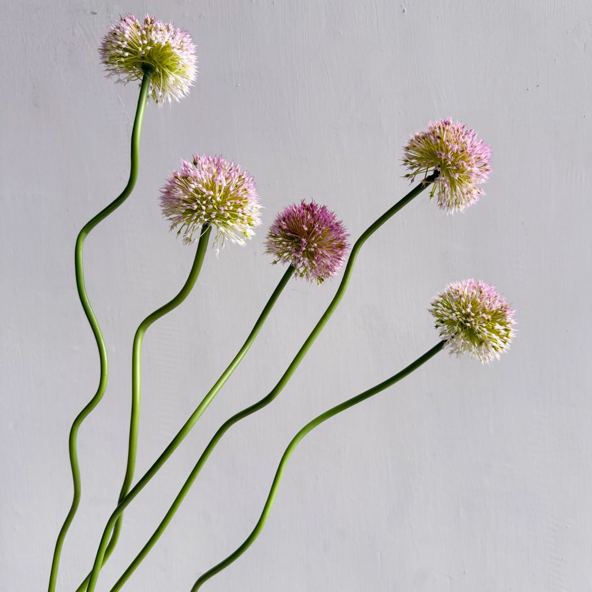 Baby Nursery Decor Ideas - 5Pc Artitificial Onion Ball Plastic Flowers