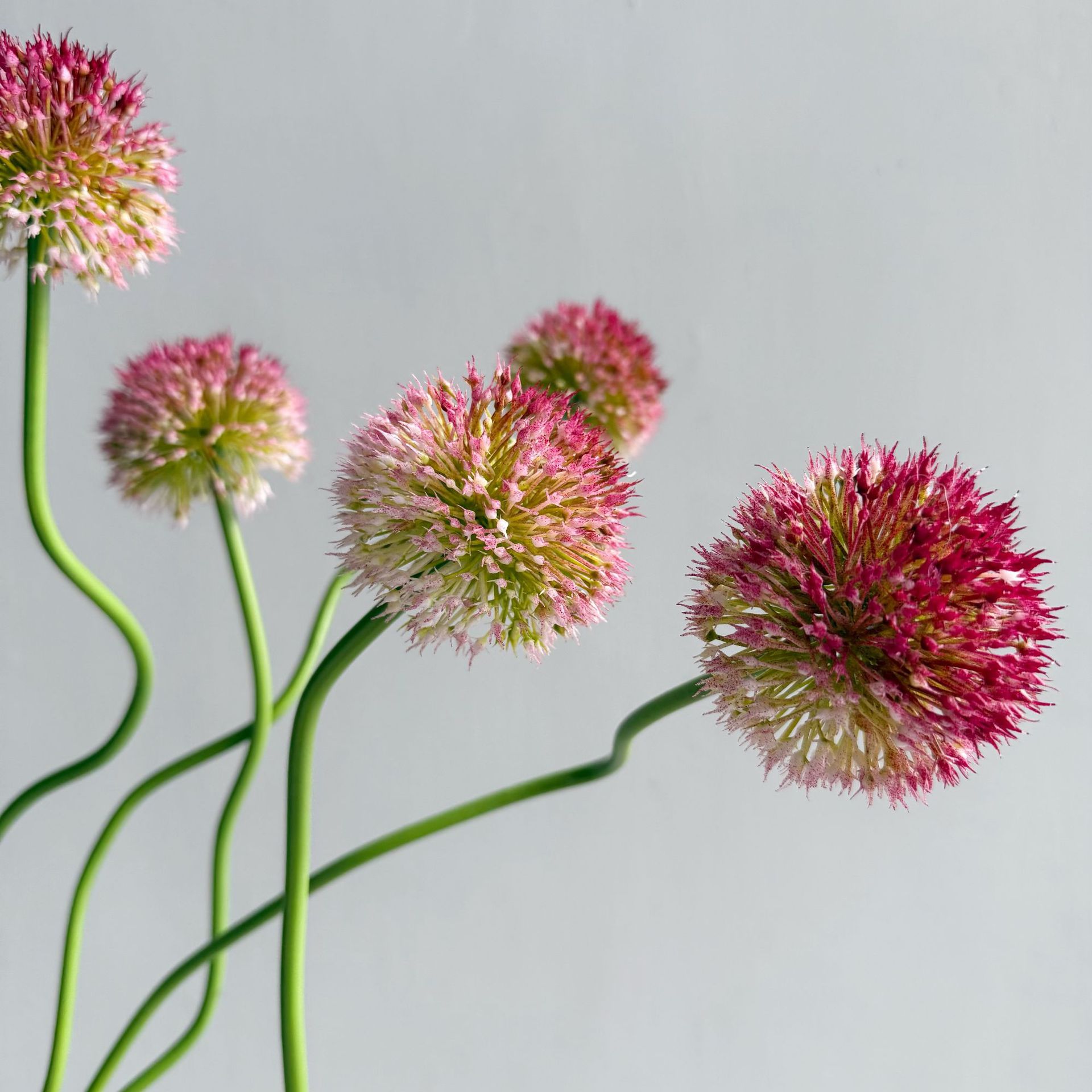 5Pc Artitificial Onion Ball Pl - Baby Nursery Decor Ideas recension och pris